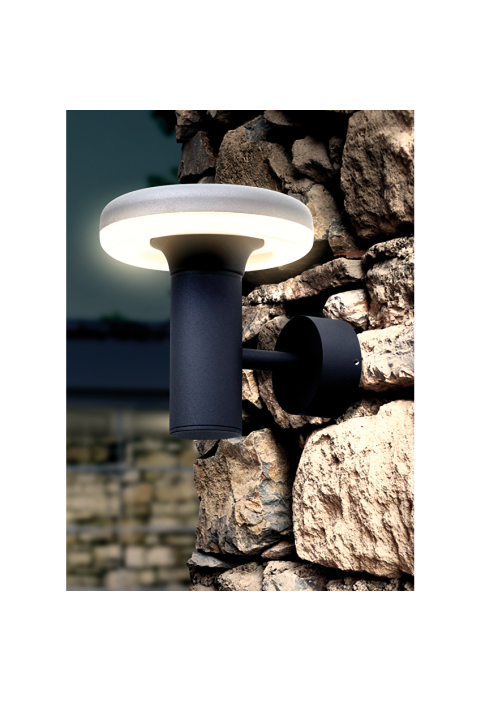 LED фасадно осветително тяло 6W, 4200K, IP65, кръг, графит