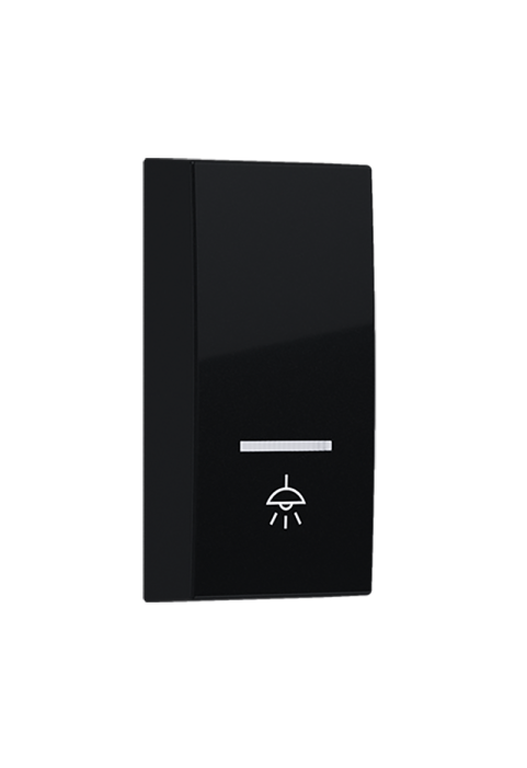 ^ MODYS BUTTON WITH INDICATOR & LIGHT SYMBOL 1 M. MATT BLACK
