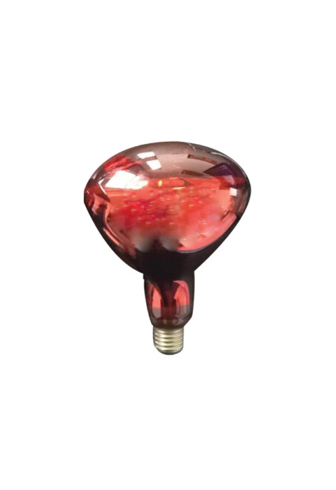  LAMP R125 RED 220V 150W/250W