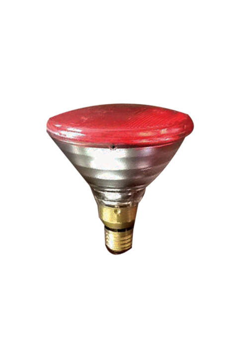 PAR38 RED 220V 150W IR