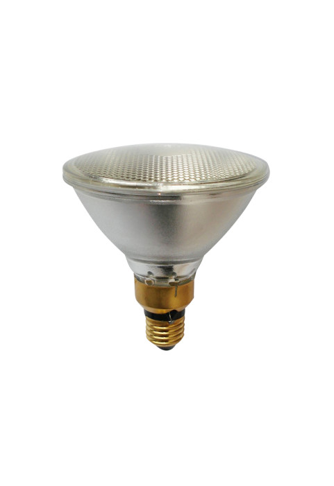 PAR38 HALOGEN 80W 38° 230V CLEAR