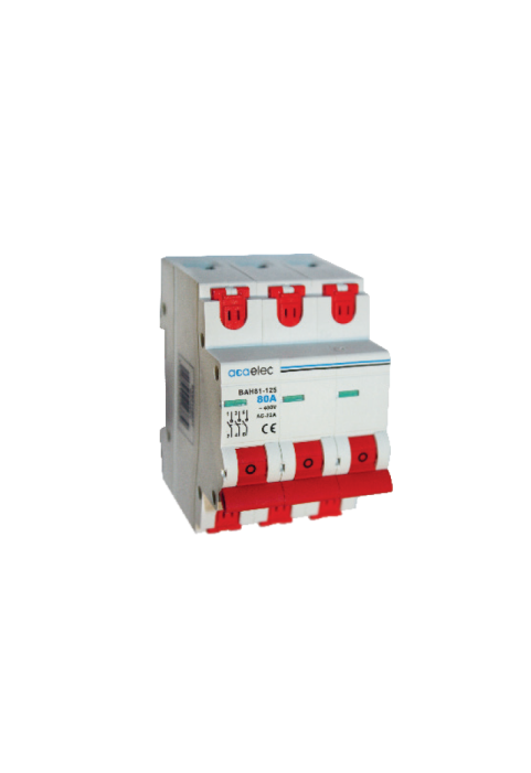 SWITCH DISCONNECTOR 3P 80A