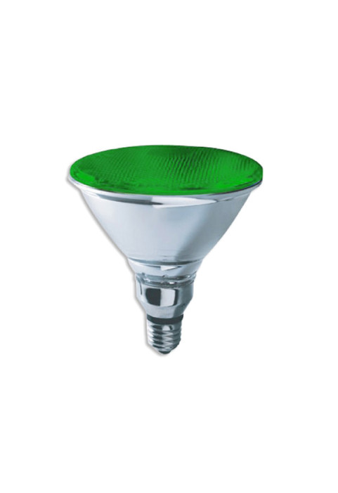 PAR38 Ε27 80W 38° 240V green