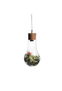 NETTO PENDANT 1ΧGU10 METAL COLOR WOOD + GLASS Φ20ΧΗ120CM POTHOS