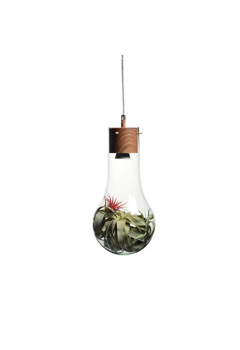 NETTO PENDANT 1ΧGU10 METAL COLOR WOOD + GLASS Φ20ΧΗ120CM POTHOS
