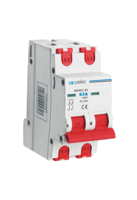 SWITCH DISCONNECTOR 2P 63A 
 