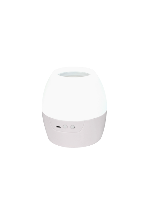2 IN 1 8W  ЛЕД НОЩНА ЛАМПА И ПРОЕКТОР С 4  ШАБЛОНИ И 1 М USB КАБЕЛ ИЛИ 3XAA