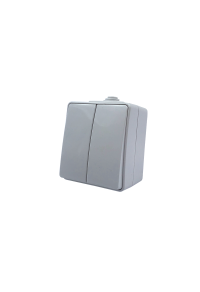 ARMY 2 GANG 1 WAY SWITCH WALL MOUΝΤED WATERPROOF SCREWS 1+1P 10AX 250VAC IP55 LIGHT GREY