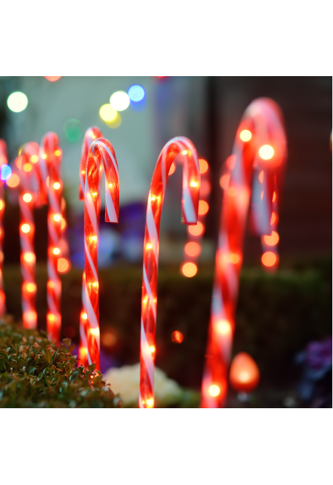"4 CANDY STAKES" 40 WW LED СВЕТЛИНИ 8 ФУНКЦИИ АДАПТИРАТ (4.5V) IP44 L1.5m * Φ2.5cm * H60cm 0.5m ЗЕЛЕН ВОДЕЩ КАБЕ