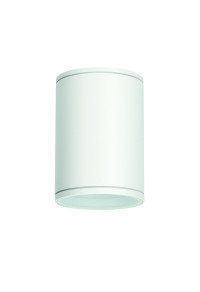ФАСАДНА ЛУНА 230V AC MATT WHITE IP65 MAX.35W