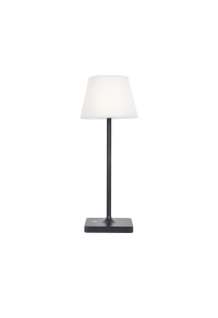 ^LED SMD TABLE BATTERY LUMINAIRE 2W 170LM  3.000K DARK GREY 360°  CRI80 IP54