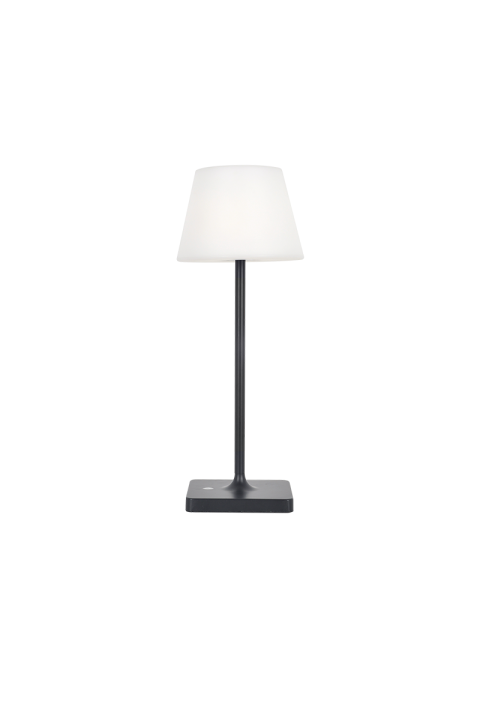 ^LED SMD TABLE BATTERY LUMINAIRE 2W 170LM  3.000K DARK GREY 360°  CRI80 IP54