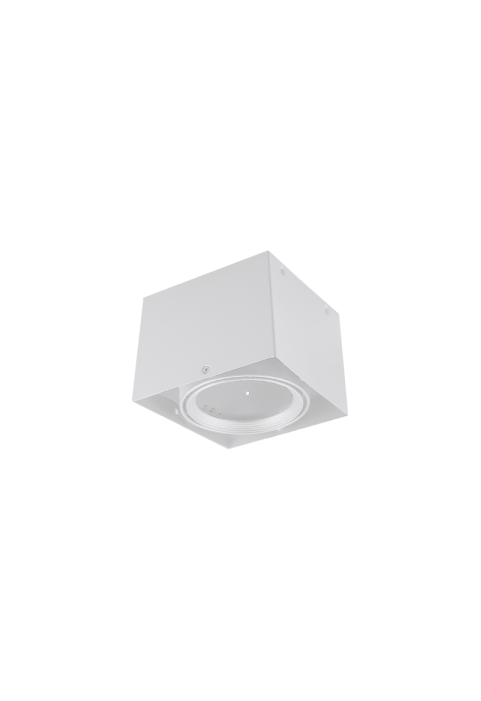 SPOT CEILING AR111 SINGLE WHITE 150x150x120