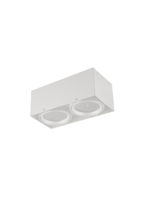 SPOT CEILING AR111 DOUBLE WHITE 150x300x120