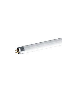 T5 39W 4000K DIOLAMP