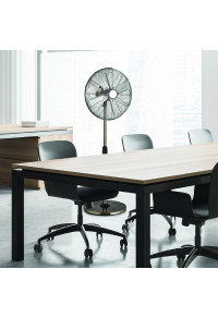 STAND FAN, METALLIC, NIKEL WITH 4 SILVER BLADES, DIAM45, AC 60W