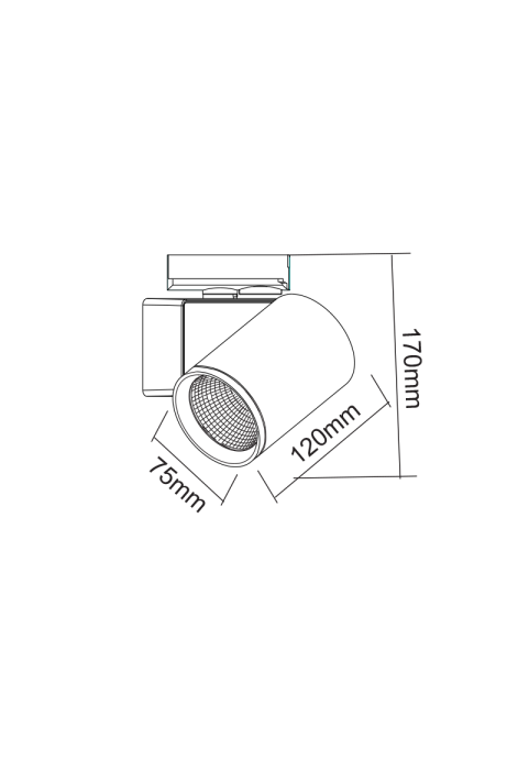 ΑΜΜΩΔΕΣ ΛΕΥΚΟ LED ΣΠΟΤ ΡΑΓΑΣ 20W 4000K 1-PHASE 38° 2400LM 230V AC Ra80 5YRS